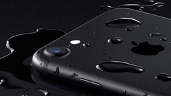Đã có cách trị nước đọng trong loa iPhone 7