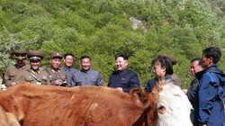 Ông Kim Jung Un trong một buổi thị sát ở nông trường chăn nuôi của Triều Tiên