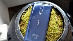 Nokia 8 (ảnh: The Verge)