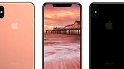 iPhone X (ảnh: Google)