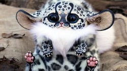 Bạn nghĩ đây là con gì? (ảnh: Brightside)