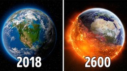 (Ảnh minh họa: Brightside)