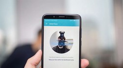 Ảnh minh họa (Theo CNET)