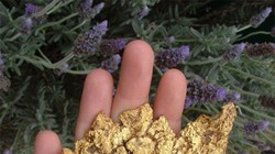 Ảnh minh họa (theo Brightside)