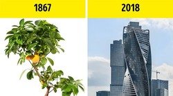 Ảnh minh họa (theo Brightside)