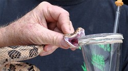 Ảnh minh họa (theo Brightside)