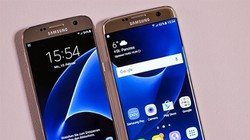 Ảnh minh họa (theo Brightside)