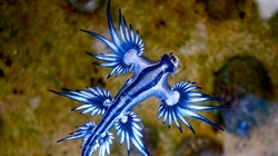 Ảnh minh họa (theo Brightside)