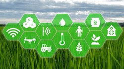 (ảnh minh họa: Forbes)