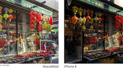 So sánh ảnh chụp giữa máy ảnh Hasselblad X1D và iPhone 8 Plus (ảnh: Business Insider)