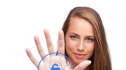 ảnh minh họa (Android Authority)