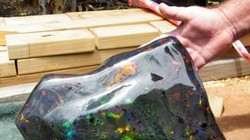 Ảnh minh họa (Bright Side)