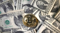 Ảnh minh họa. Nguồn: The Independent