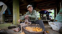 Bạn sẽ có những trải nghiệm mới mẻ khi du lịch tại Việt Nam và các nước châu Á khác thông qua ba ứng dụng du lịch hữu ích này. Ảnh: CSMP