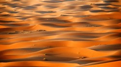 Sahara từng là thiên đường sự sống? Ảnh: Sohu