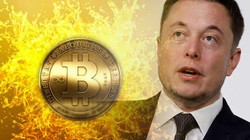 Elon Musk và Bitcoin có mối quan hệ chặt chẽ. 