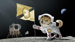 SpaceX chấp nhận thanh toán hoàn toàn bằng Dogecoin. Ảnh: Sina