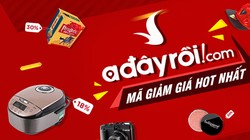 Adayroi sẽ tạm ngưng hoạt động? (Nguồn: Internet)