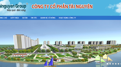Công ty cổ phần Tài nguyên - TNT (Nguồn: TNT)