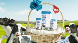 Ảnh minh họa (Nguồn: VNM)