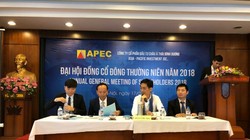 CTCP Đầu tư Châu Á Thái Bình Dương (APEC Investment- HNX: API)