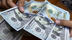 Ảnh minh họa (Nguồn: Internet)