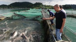 Doanh nhân Lê Anh Đức - Đức "Cá tầm". (Nguồn: AFP)