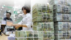 Ảnh minh họa (Nguồn: Internet)