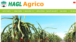 Ảnh chụp màn hình trang chủ của HAGL Agrico (Nguồn: HNG)