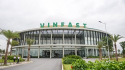 Hiện Vingroup đã có một tổ hợp Vinfast đặt tại Hải Phòng, nhưng là "tổ hợp sản xuất". Còn ở Thanh Hóa, Vingroup muốn làm "Tổ hợp dịch vụ Vinfast".