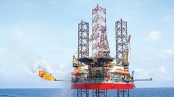 Ảnh minh họa (Nguồn: PVD)