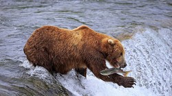 Ảnh minh họa (Nguồn: Internet)