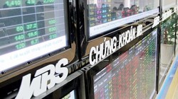 Ảnh minh họa (Nguồn: Internet)