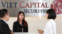 Ảnh minh họa (Nguồn: Internet)