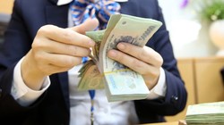 Tăng vốn sẽ là câu chuyện chính của các "ông lớn" ngân hàng năm 2019?