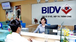 Ảnh minh họa (Nguồn: Internet)