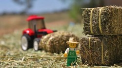 Ảnh minh họa (Nguồn: ABC News)