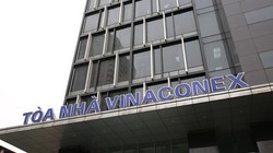 Ảnh minh họa (Nguồn: Internet)