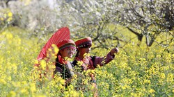 Ảnh minh họa (Nguồn: Báo Tây Ninh)