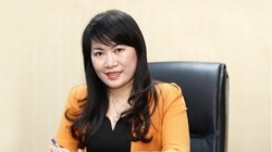 Chân dung Tân Chủ tịch HĐQT Eximbank - bà Lương Thị Cẩm Tú (Ảnh: Internet)