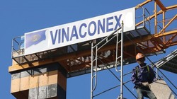 Ảnh minh họa (Nguồn: Internet)