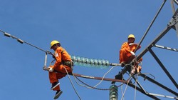 Ảnh minh họa (Nguồn: Internet)