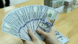 Ảnh minh họa (Nguồn: Internet)