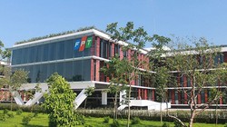 Ảnh minh họa (Nguồn: Internet)