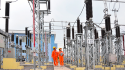 Ảnh minh họa (Nguồn: Internet)