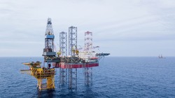 Ảnh minh họa (Nguồn: Internet)