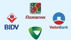 Nhóm "Big 4" đang có nhu cầu tăng vốn rất lớn (Ảnh minh họa - Nguồn: Internet)