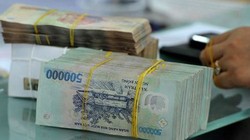 Ảnh minh họa (Nguồn: Internet)