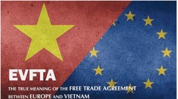 Ảnh minh họa (Nguồn: Internet)