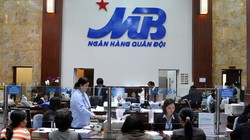 Ảnh minh họa (Nguồn: Internet)